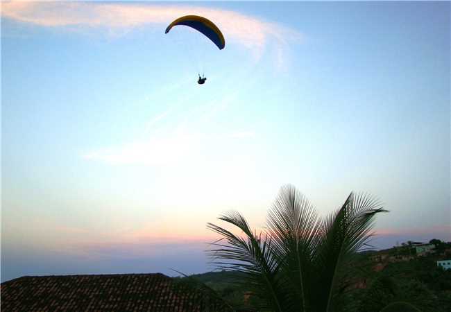Paraglider